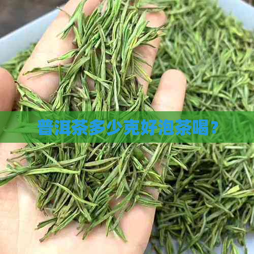 普洱茶多少克好泡茶喝？