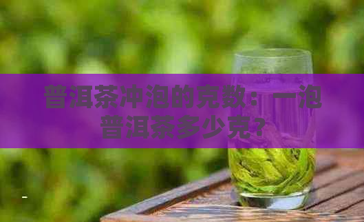 普洱茶冲泡的克数：一泡普洱茶多少克？