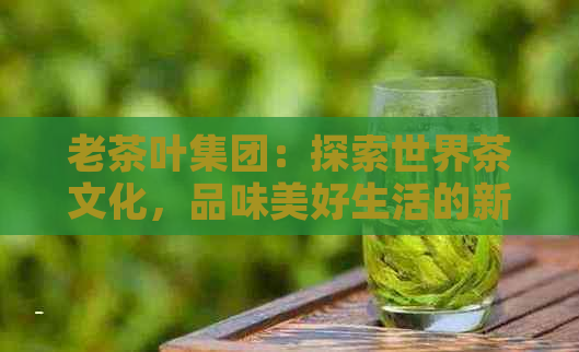 老茶叶集团：探索世界茶文化，品味美好生活的新选择