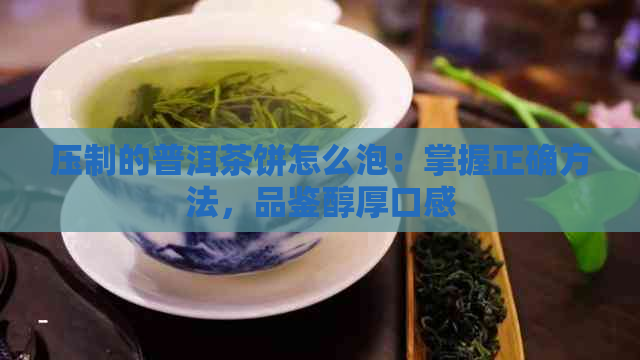 压制的普洱茶饼怎么泡：掌握正确方法，品鉴醇厚口感