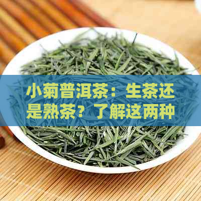 小菊普洱茶：生茶还是熟茶？了解这两种茶的区别和特点