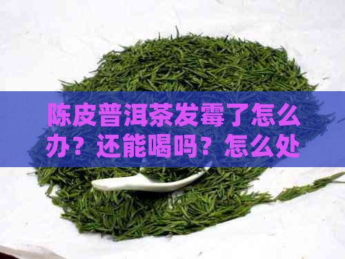 陈皮普洱茶发霉了怎么办？还能喝吗？怎么处理？