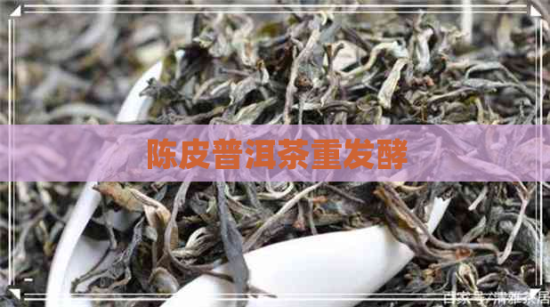 陈皮普洱茶重发酵