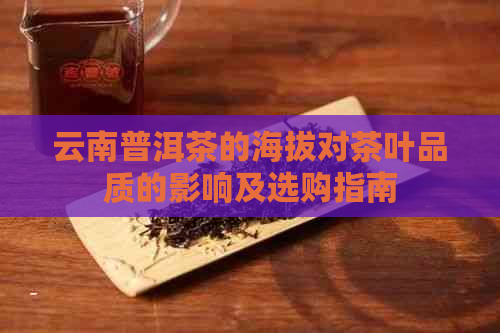 云南普洱茶的海拔对茶叶品质的影响及选购指南