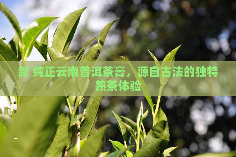 新 纯正云南普洱茶膏，源自古法的独特熟茶体验