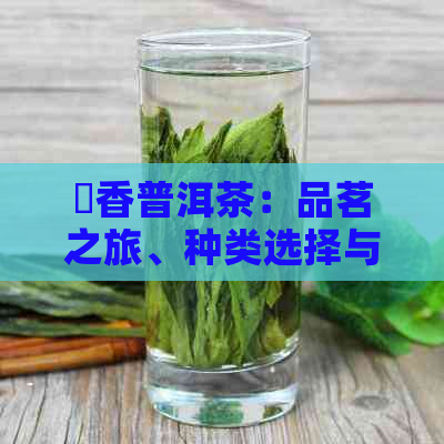 檽香普洱茶：品茗之旅、种类选择与冲泡技巧详解，让你全面了解普洱茶的魅力