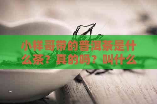 小样哥带的普洱茶是什么茶？真的吗？叫什么？拜了几个师？