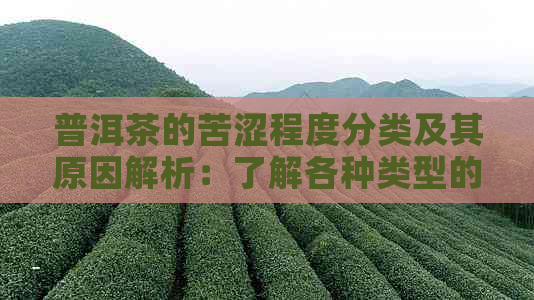 普洱茶的苦涩程度分类及其原因解析：了解各种类型的普洱茶