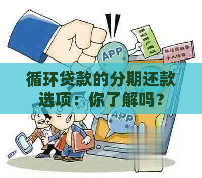 循环贷款的分期还款选项：你了解吗？