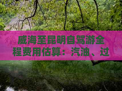 威海至昆明自驾游全程费用估算：汽油、过路费和住宿等重要开支解析