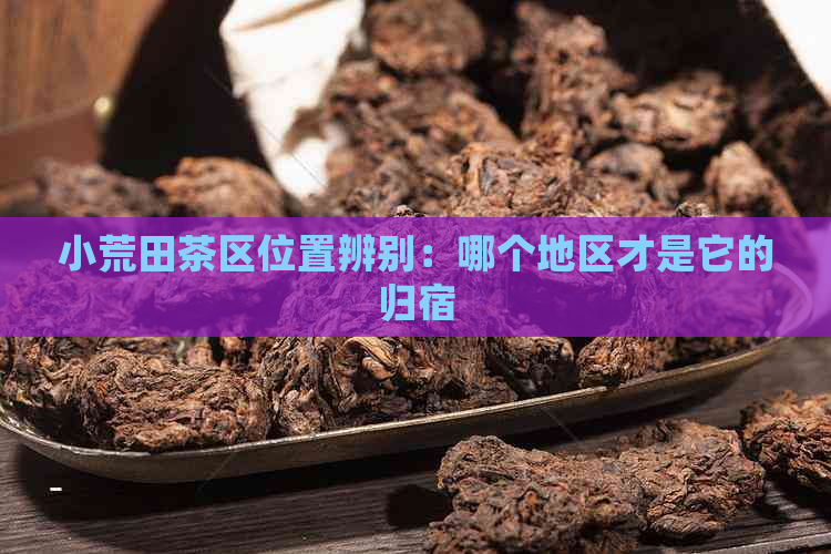 小荒田茶区位置辨别：哪个地区才是它的归宿