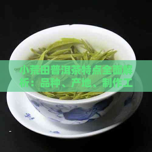 小荒田普洱茶特点全面解析：品种、产地、制作工艺和口感等方面的详细探讨