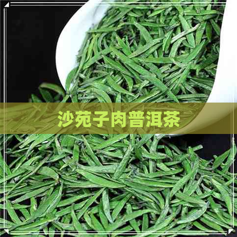 沙苑子肉普洱茶