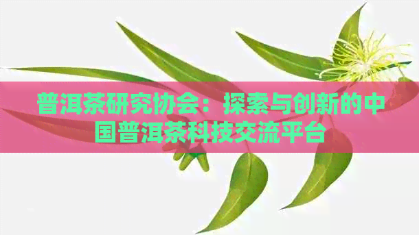 普洱茶研究协会：探索与创新的中国普洱茶科技交流平台