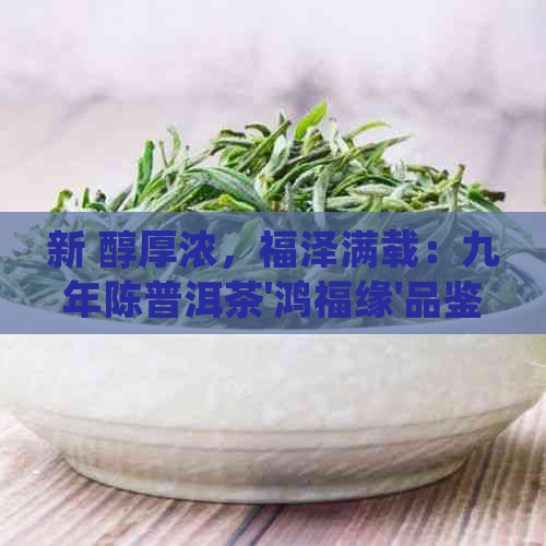 新 醇厚浓，福泽满载：九年陈普洱茶'鸿福缘'品鉴之旅