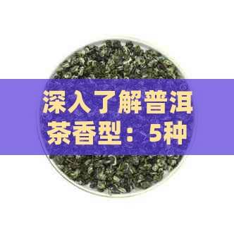 深入了解普洱茶香型：5种最常见的香气特征及辨识方法