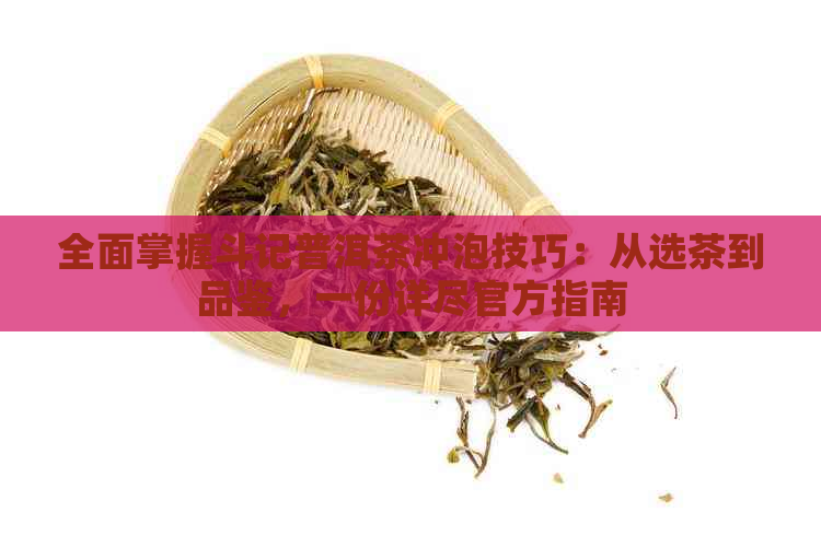 全面掌握斗记普洱茶冲泡技巧：从选茶到品鉴，一份详尽官方指南