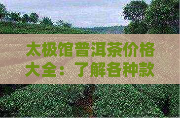 太极馆普洱茶价格大全：了解各种款式及价格区间，找到最适合您的茶叶