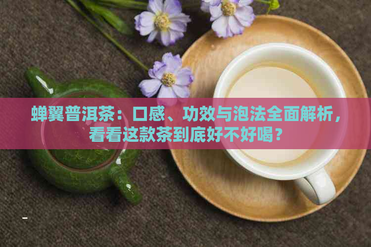 蝉翼普洱茶：口感、功效与泡法全面解析，看看这款茶到底好不好喝？