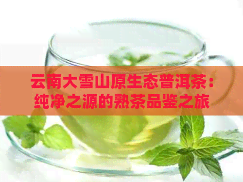 云南大雪山原生态普洱茶：纯净之源的熟茶品鉴之旅