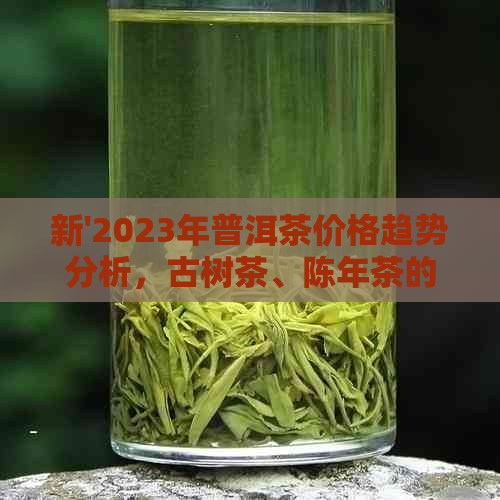 新'2023年普洱茶价格趋势分析，古树茶、陈年茶的不同价值'