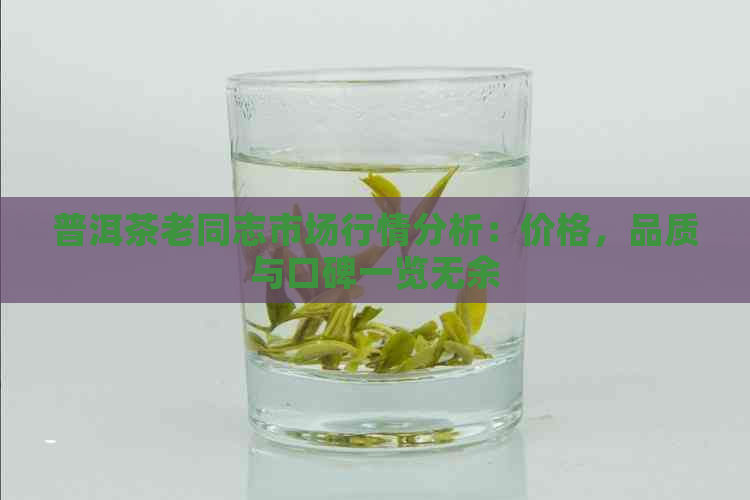 普洱茶老同志市场行情分析：价格，品质与口碑一览无余