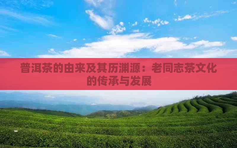 普洱茶的由来及其历渊源：老同志茶文化的传承与发展