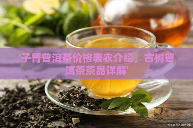 '子箐普洱茶价格表农介绍，古树普洱茶茶品详解'