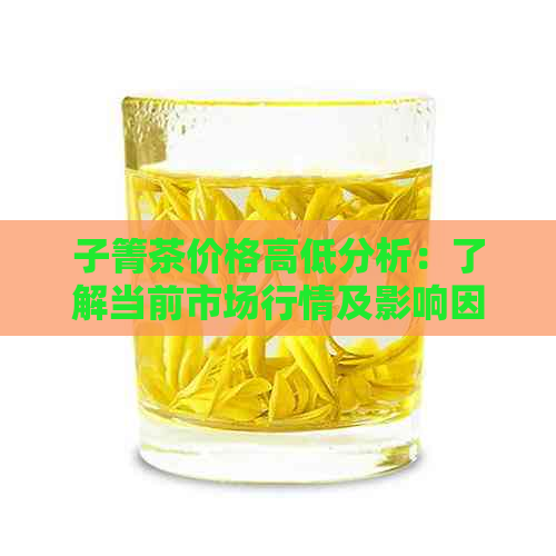 子箐茶价格高低分析：了解当前市场行情及影响因素