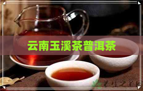 云南玉溪茶普洱茶