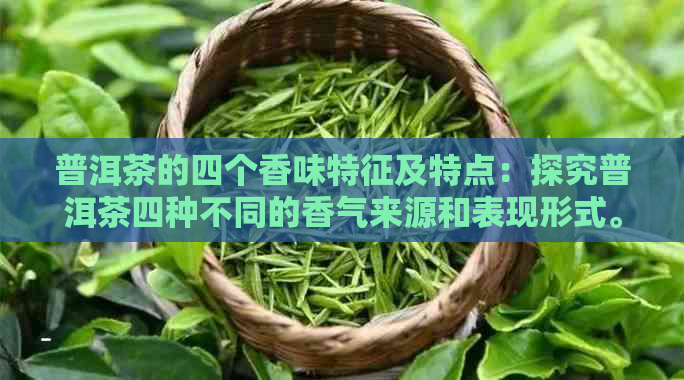 普洱茶的四个香味特征及特点：探究普洱茶四种不同的香气来源和表现形式。