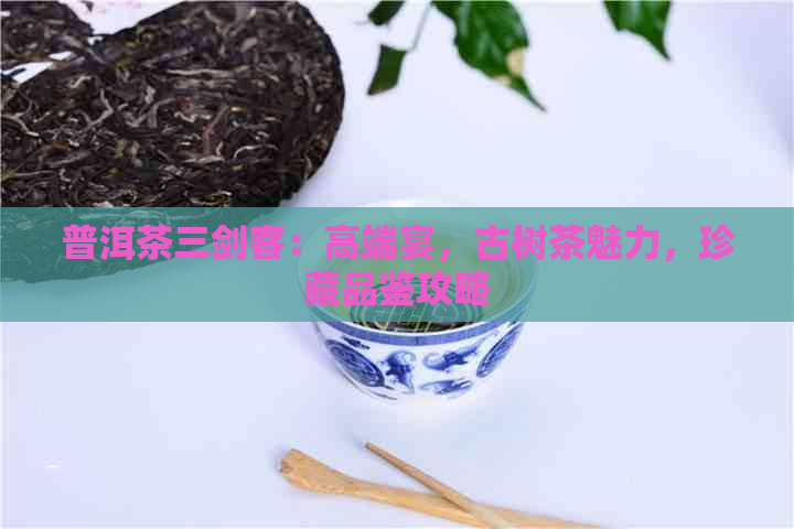 普洱茶三剑客：高端宴，古树茶魅力，珍藏品鉴攻略