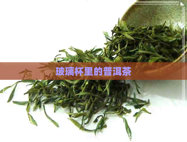 玻璃杯里的普洱茶