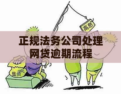 正规法务公司处理网贷逾期流程