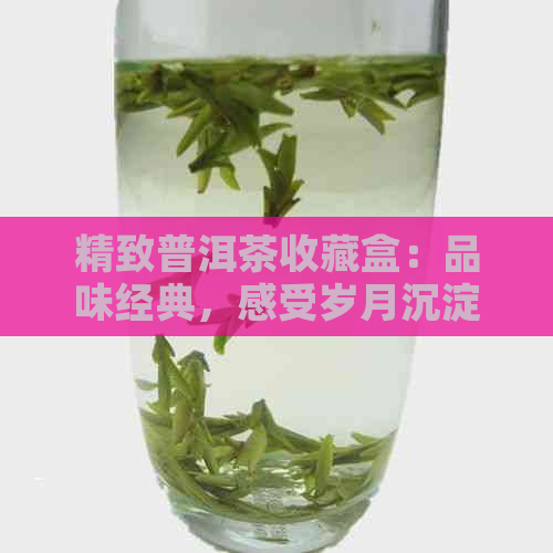 精致普洱茶收藏盒：品味经典，感受岁月沉淀