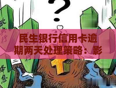 民生银行信用卡逾期两天处理策略：影响及还款建议