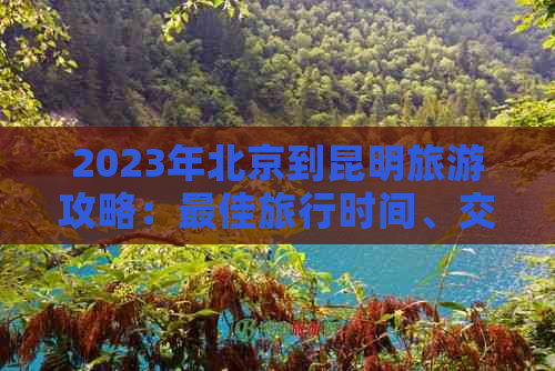 2023年北京到昆明旅游攻略：更佳旅行时间、交通方式及旅行必备事项