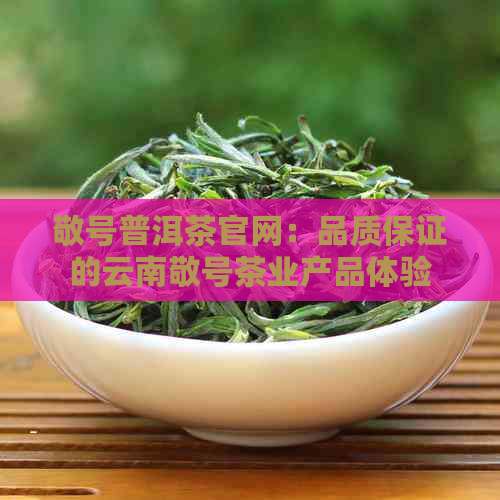 敬号普洱茶官网：品质保证的云南敬号茶业产品体验