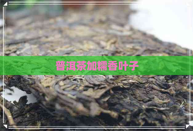 普洱茶加糯香叶子