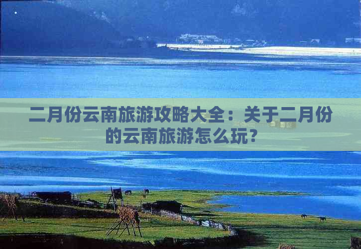 二月份云南旅游攻略大全：关于二月份的云南旅游怎么玩？