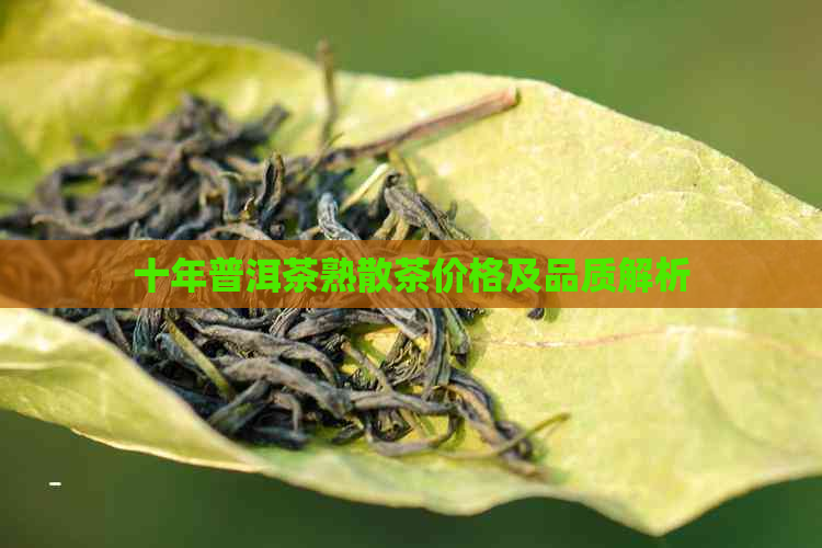 十年普洱茶熟散茶价格及品质解析