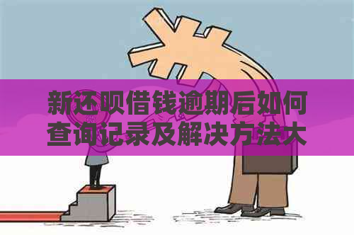 新还呗借钱逾期后如何查询记录及解决方法大揭秘