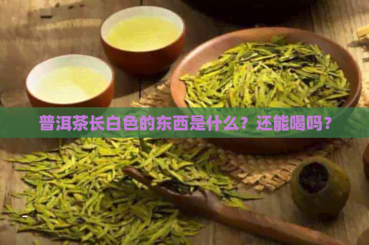 普洱茶长白色的东西是什么？还能喝吗？