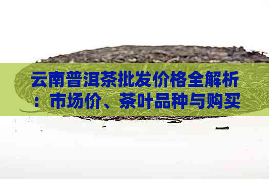 云南普洱茶批发价格全解析：市场价、茶叶品种与购买指南