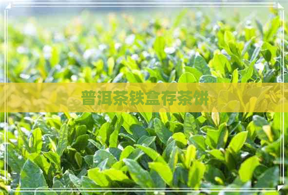 普洱茶铁盒存茶饼