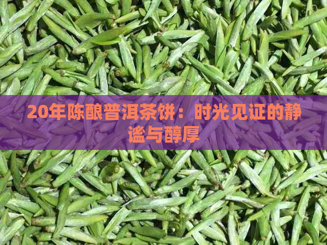 20年陈酿普洱茶饼：时光见证的静谧与醇厚