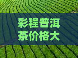 彩程普洱茶价格大全：深入了解普洱茶各种类型与等级的价格信息