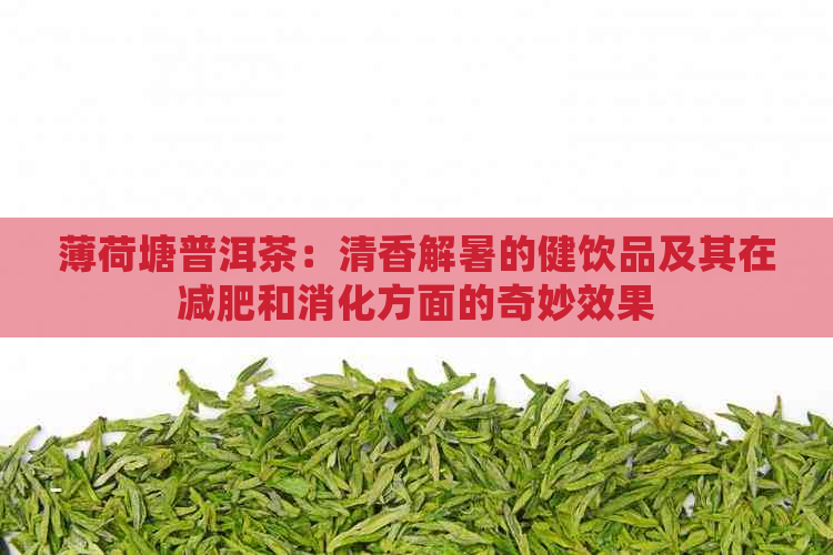 薄荷塘普洱茶：清香解暑的健饮品及其在减肥和消化方面的奇妙效果