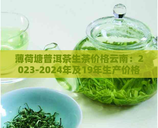 薄荷塘普洱茶生茶价格云南：2023-2024年及19年生产价格