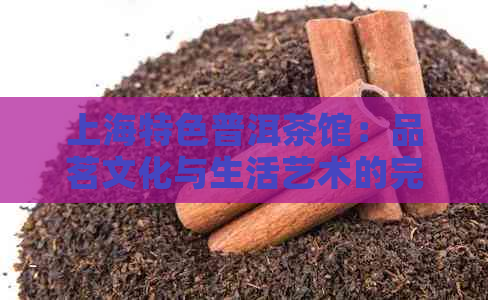 上海特色普洱茶馆：品茗文化与生活艺术的完美融合